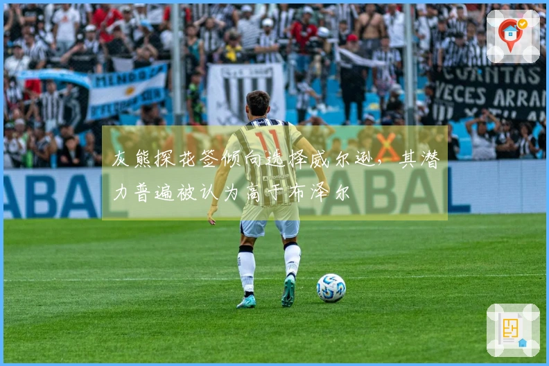 灰熊探花签倾向选择威尔逊，其潜力普遍被认为高于布泽尔