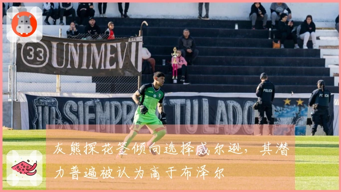 灰熊探花签倾向选择威尔逊，其潜力普遍被认为高于布泽尔